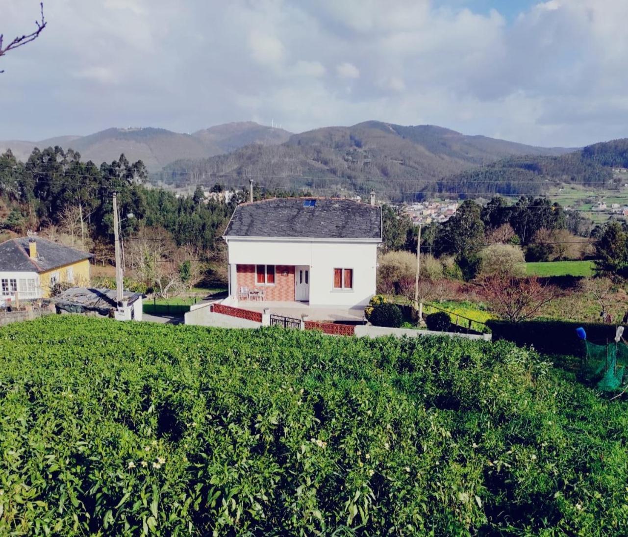 Casa Familiar Con Finca Privada Вивейро Экстерьер фото